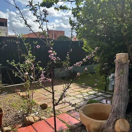 Apartment Ambos Mundos